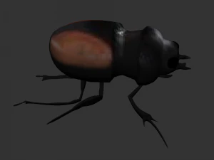 Insect Neolucanus parryi 3D Model