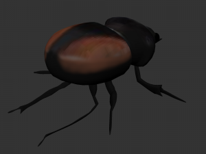Insect Neolucanus parryi 3D मॉडल