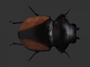 Insect Neolucanus parryi 3D मॉडल