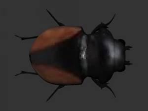 Insect Neolucanus parryi 3D Model