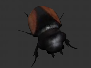 Insect Neolucanus parryi 3D मॉडल