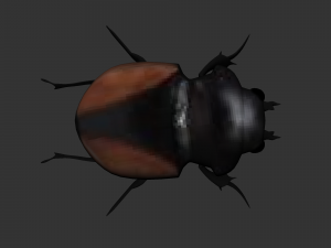 Insect Neolucanus parryi 3D मॉडल