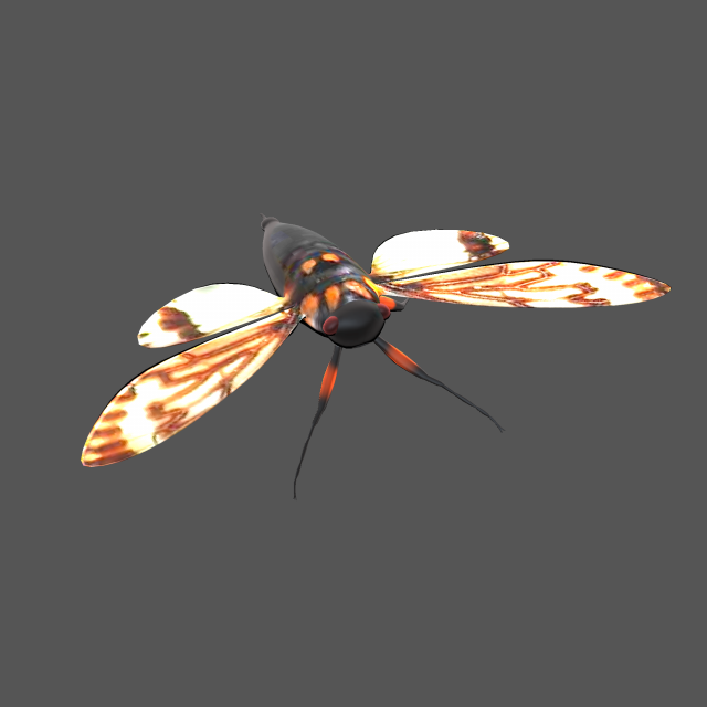 Insect tasena stendida Model 3D .c4d .max .obj .3ds .fbx .stl .blend 