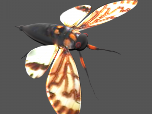 Insect tasena stendida Model 3D