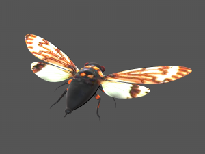 Insect tasena stendida Model 3D