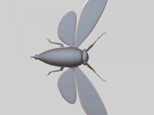 Insect tasena stendida Model 3D