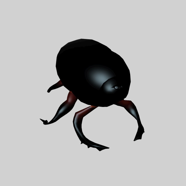 Insect heliocopris Donius Model 3D .c4d .max .obj .3ds .fbx .stl .blend 