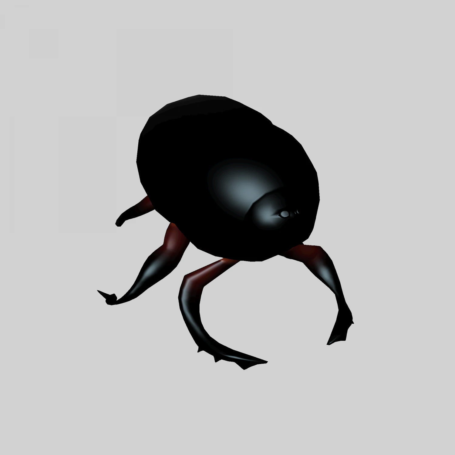 Insect heliocopris Donius 3D Model .c4d .max .obj .3ds .fbx .stl .blend