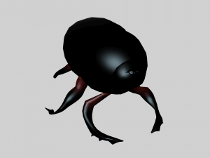 Insect heliocopris Donius 3D Model