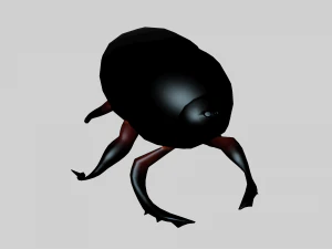 Насекомое гелиокоприс Дониус 3D Модель