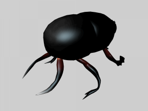 Insect heliocopris Donius Model 3D
