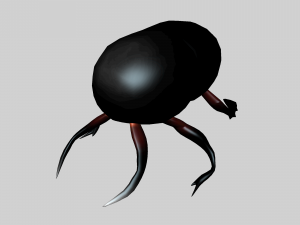 Insect heliocopris Donius Model 3D