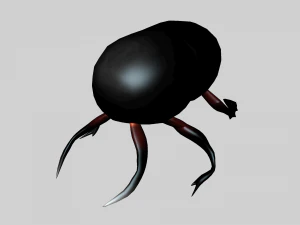 Insect heliocopris Donius 3D Model
