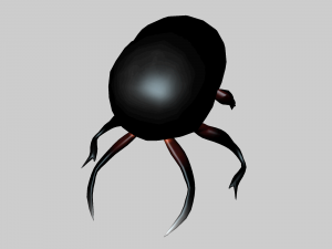 Insect heliocopris Donius Model 3D