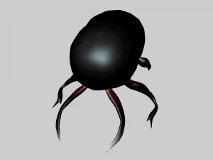Insect heliocopris Donius 3D Model