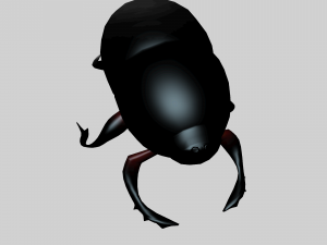 Insect heliocopris Donius Model 3D