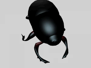 Insect heliocopris Donius 3D Model