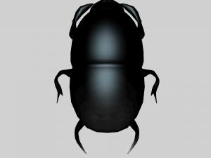Insect heliocopris Donius Model 3D