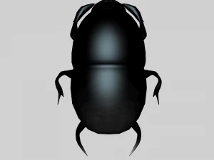 Insect heliocopris Donius 3D Model