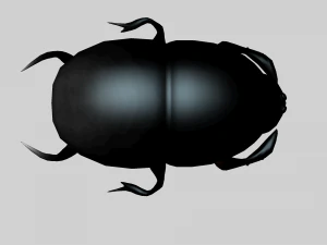 Insect heliocopris Donius 3D Model
