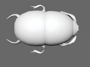 Insect heliocopris Donius Model 3D