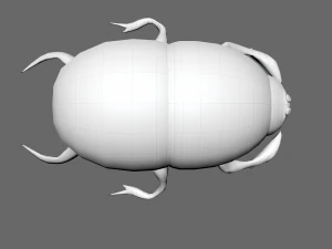 Insect heliocopris Donius 3D Model