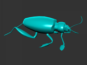 Insect sagra femorata 3D 模型