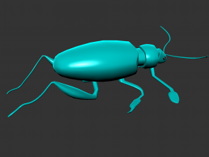 Insect sagra femorata 3D 模型