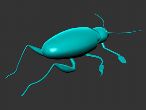 Insect sagra femorata 3D 模型