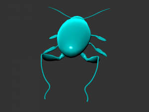 Insect sagra femorata 3D 模型