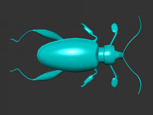 Insect sagra femorata 3D 模型