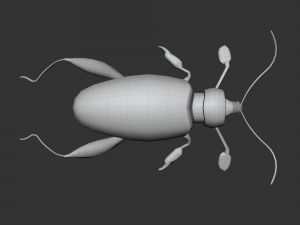 Insect sagra femorata 3D 模型