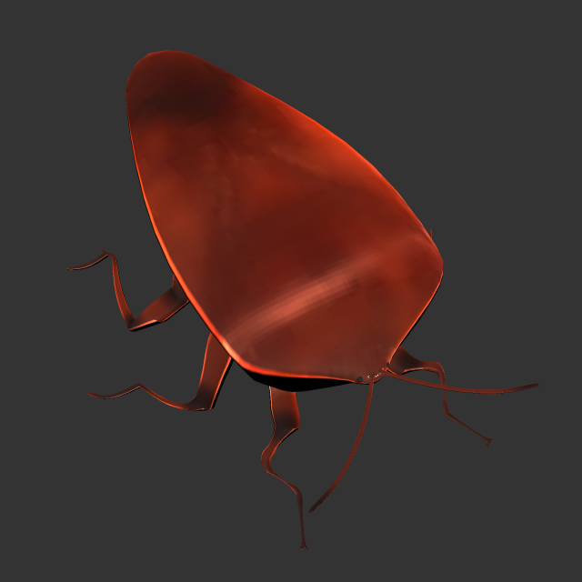 Insect Rholulus Sp Model 3D .c4d .max .obj .3ds .fbx .stl .blend 