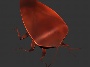 Insect Rholulus Sp 3D Model