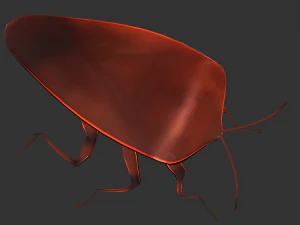 Насекомое Rholulus Sp 3D Модель