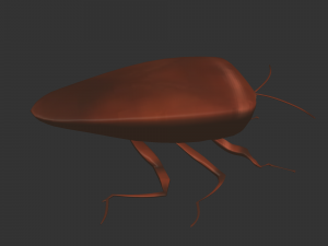 Insect Rholulus Sp Model 3D