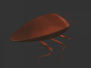 Insect Rholulus Sp Model 3D
