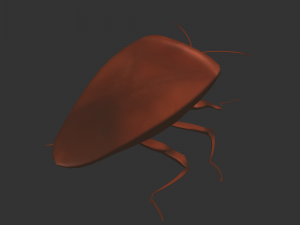 Insect Rholulus Sp Model 3D