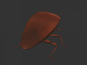 Insect Rholulus Sp Model 3D