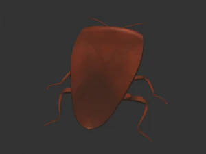 Насекомое Rholulus Sp 3D Модель