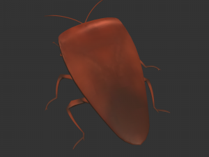 Insect Rholulus Sp Model 3D