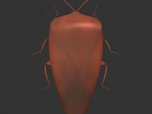 Insect Rholulus Sp Model 3D