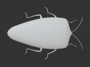 Insect Rholulus Sp Model 3D