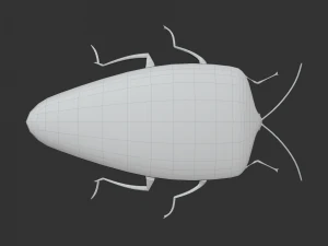 Насекомое Rholulus Sp 3D Модель