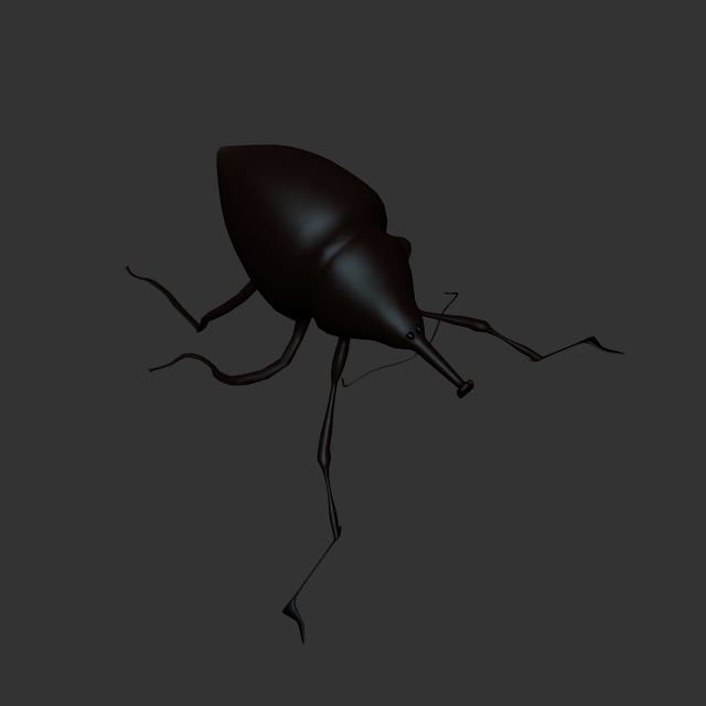 Insect Cytotrahelus Dux Modelo 3D .c4d .max .obj .3ds .fbx .stl .blend