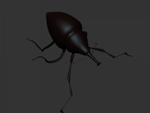 Insect Cytotrahelus Dux 3D Model