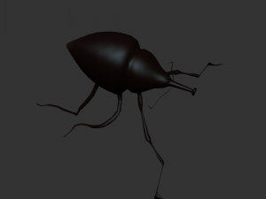 Insect Cytotrahelus Dux Modelo 3D