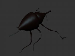 Insect Cytotrahelus Dux Modelo 3D