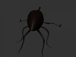 Insect Cytotrahelus Dux Modelo 3D