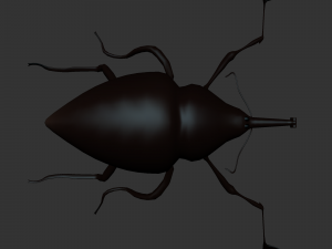 Insect Cytotrahelus Dux Modelo 3D